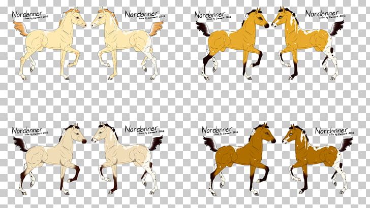 Dog Breed Mustang Pony Mane PNG, Clipart, Animal, Animal Figure, Animals, Appaloosa Spirit, Area Free PNG Download