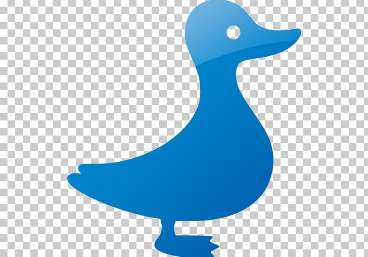 Duck Computer Icons Turquoise PNG, Clipart, Animals, Beak, Bird, Com, Computer Icons Free PNG Download