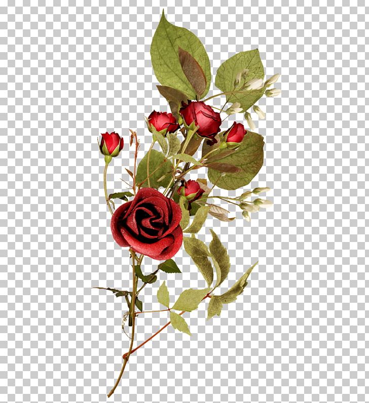 Flower Garden Roses PNG, Clipart, Artificial Flower, Christmas Decoration, Cut Flowers, Encapsulated Postscript, Flora Free PNG Download