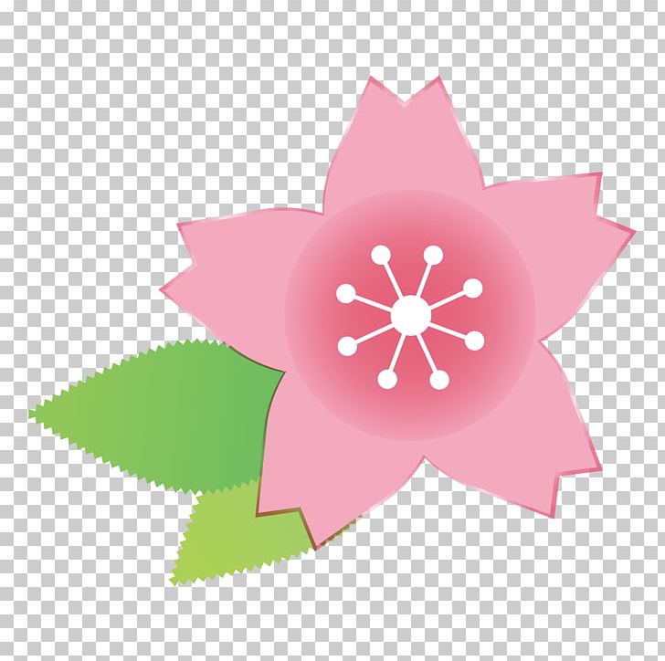 Green Leaf And Pink Flower. PNG, Clipart, Book Illustration, Cherry Blossom, Color, Flower, Flowering Plant Free PNG Download