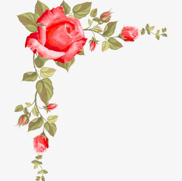 Rose Borders PNG, Clipart, Borders Clipart, Bud, Decoration, Flowers, Hand Free PNG Download