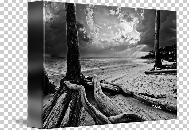 Still Life Photography Frames Wood Stock Photography PNG, Clipart, Black And White, M083vt, Monochrome, Monochrome Photography, Nature Free PNG Download