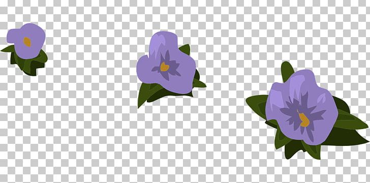 Violet Purple Flower PNG, Clipart, Bellflower Family, Blue, Color, Cut Flowers, Flora Free PNG Download