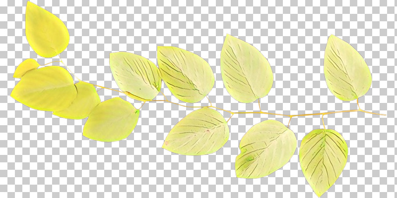 Yellow Leaf Plant Petal PNG, Clipart, Leaf, Petal, Plant, Yellow Free PNG Download