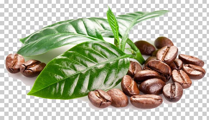 Coffee Bean Tea Espresso Coffee Cup PNG, Clipart, Bean, Beans, Burr Mill, Cafe, Cocoa Bean Free PNG Download