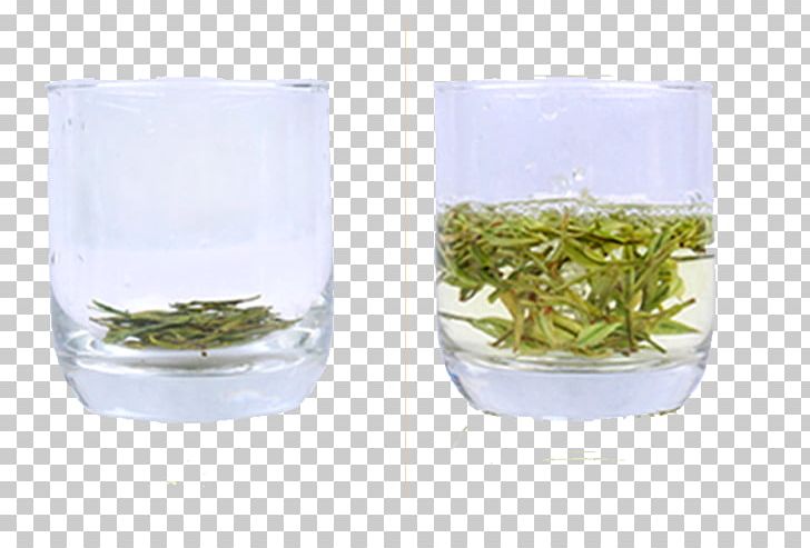 Green Tea Longjing Tea Cup PNG, Clipart, Background Green, Camellia Sinensis, Coffee Cup, Cup, Download Free PNG Download