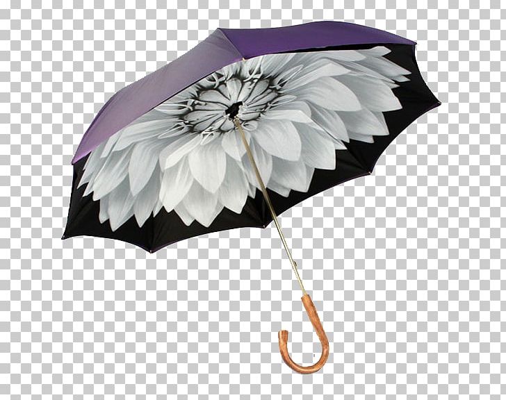 Umbrella Auringonvarjo Raincoat Fashion Accessory PNG, Clipart, Art, Auringonvarjo, Beach Umbrella, Black Umbrella, Brand Free PNG Download