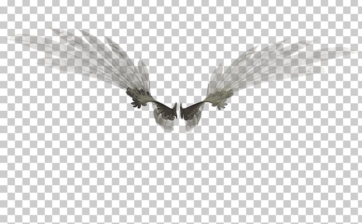 White PNG, Clipart, 3 D Render, Angel Wings, Black And White, Dreamer, Feather Free PNG Download
