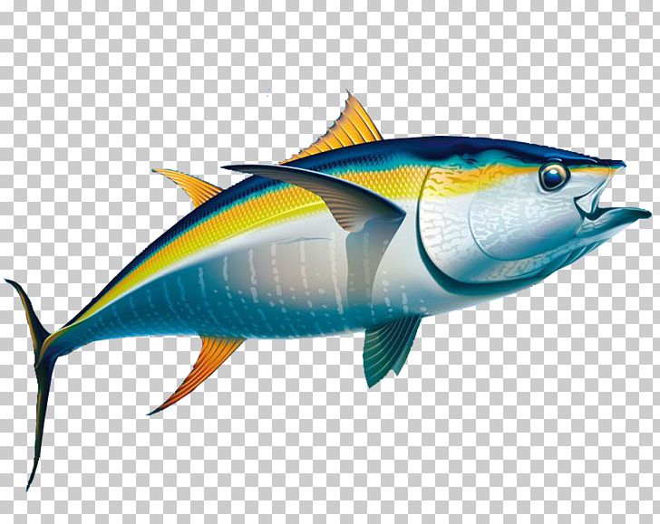 Yellowfin Tuna Fishing Albacore PNG, Clipart, Animals, Baby, Bony Fish,  Cartoon, Cartoon Fish Free PNG Download