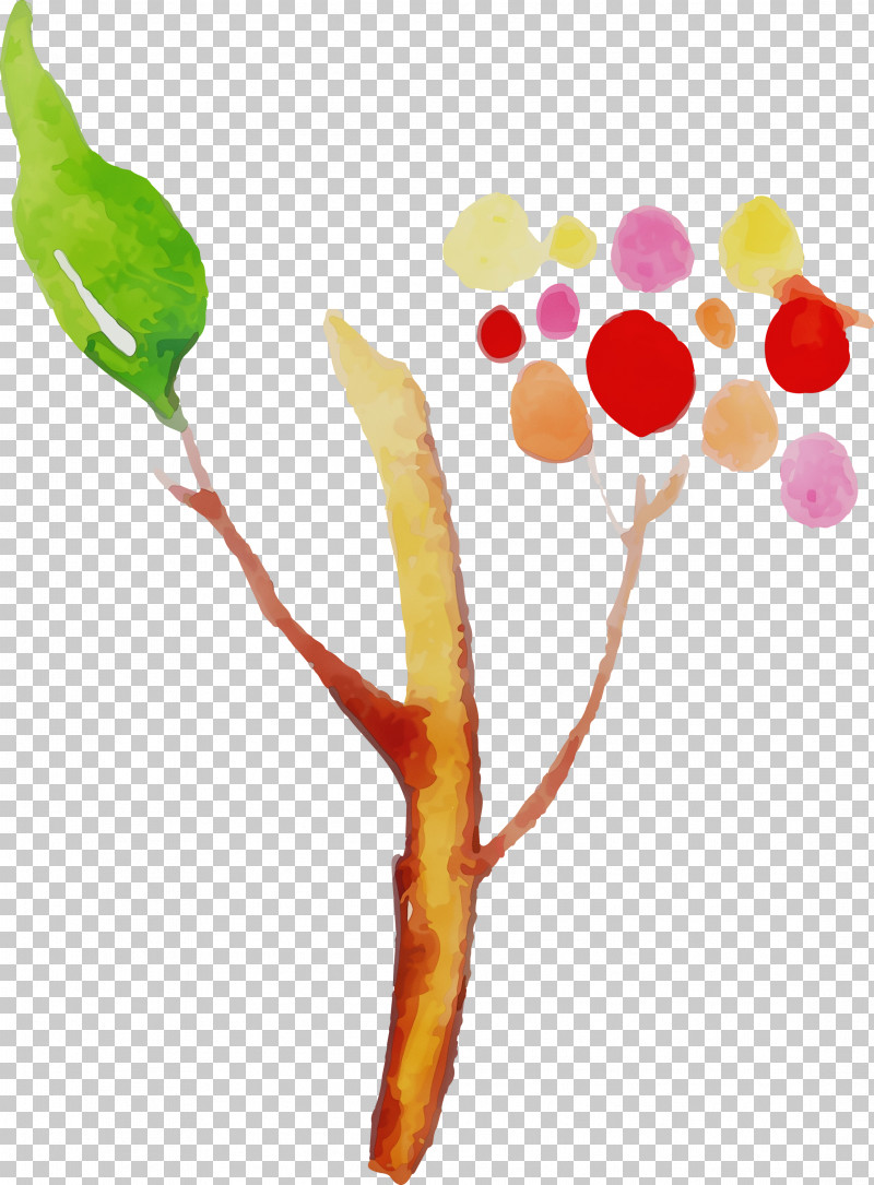 Vegetable Fruit PNG, Clipart, Fruit, Paint, Vegetable, Watercolor, Watercolor Autumn Free PNG Download