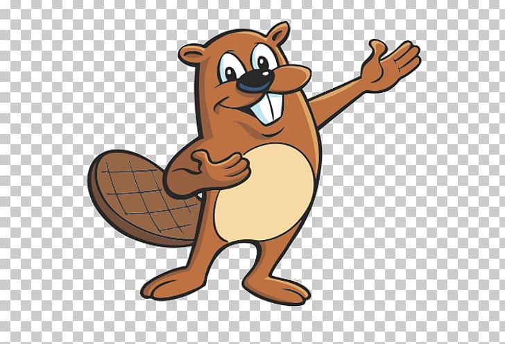 Beaver Cartoon Drawing PNG, Clipart, Angry Beavers, Animals, Animation, Beak, Beaver Free PNG Download