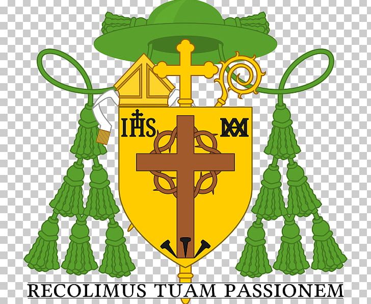 Archbishop Cardinal Diocese Christian Church PNG, Clipart, Archbishop, Baselios Cleemis, Bishop, Cardinal, Catholicism Free PNG Download