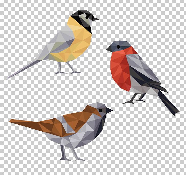 Bird Parrot Bebop 2 Polygon Euclidean PNG, Clipart, Beak, Computer Icons, Decorative Patterns, European Robin, Face Free PNG Download