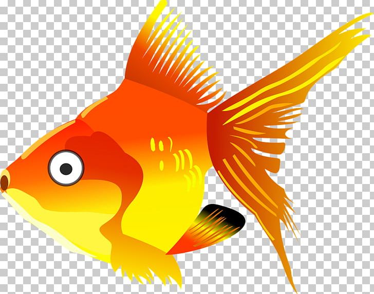Goldfish Koi Cartoon PNG, Clipart, Animals, Beak, Bony Fish, Cartoon, Cartoon Fish Free PNG Download