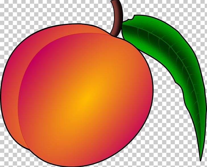 Peach Free Content PNG, Clipart, Bright, Bright Light Effect, Brightness, Bright Stars, Circle Free PNG Download