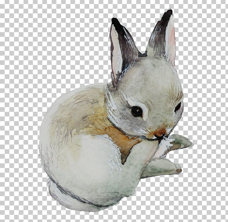 Domestic Rabbit Watercolor Painting User Interface Design Easter Bunny PNG, Clipart, Animals, Computer Software, Creative Market, Designer, Domestic Rabbit Free PNG Download