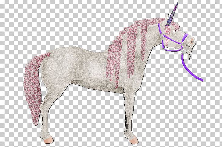 Mane Mustang Pony Foal Stallion PNG, Clipart, Dog Harness, Fauna, Fictional Character, Foal, Grass Free PNG Download