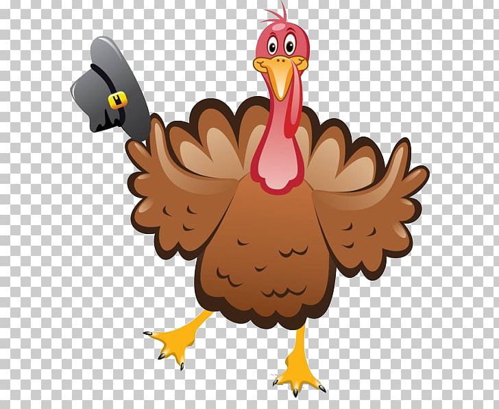 Turkey Meat Thanksgiving Dinner PNG, Clipart, Adobe Illustrator, Beak, Bird, Cartoon, Chef Hat Free PNG Download