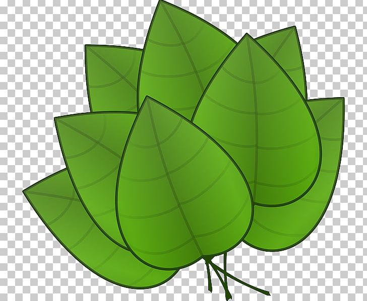 Leaf PNG, Clipart, Art, Art Green, Autumn Leaf Color, Blog, Buckle Free PNG Download