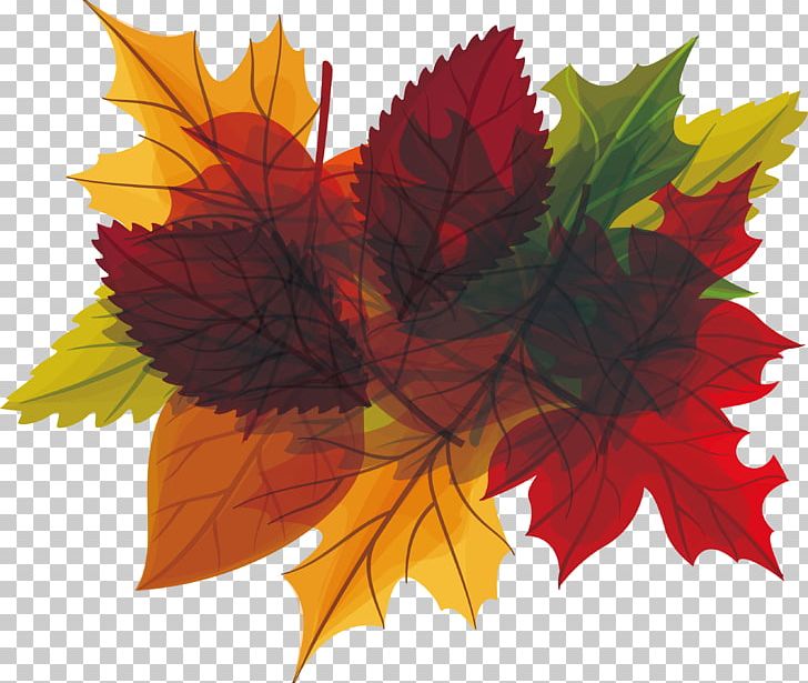 Autumn Leaf Euclidean PNG, Clipart, Adobe Illustrator, Autumn, Autumn Leaf, Autumn Leaf Color, Box Free PNG Download