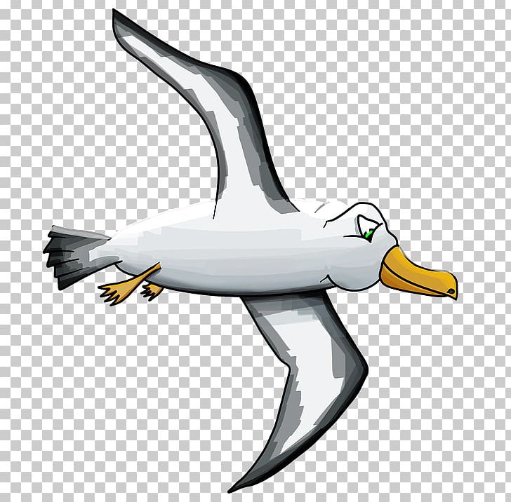 Bird Gulls Albatross Cartoon PNG, Clipart, Albatross, Animal Figure, Animals, Beak, Bird Free PNG Download