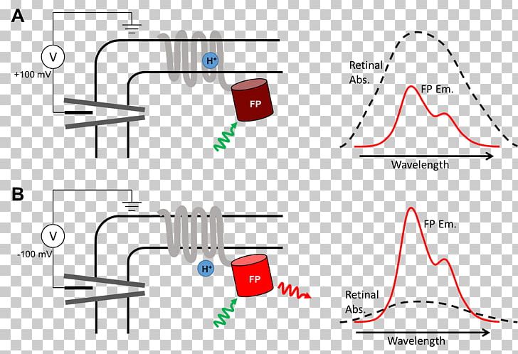 Drawing Research PNG, Clipart, Angle, Area, Art, Diagram, Drawing Free PNG Download