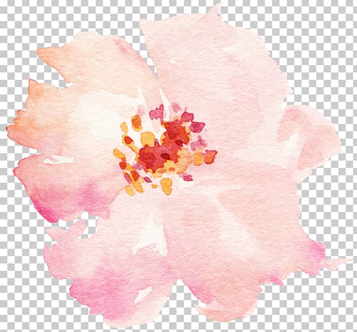 Flower Watercolor Painting PNG, Clipart, Color, Cut Flowers, Designer, Drawing, Flower Free PNG Download