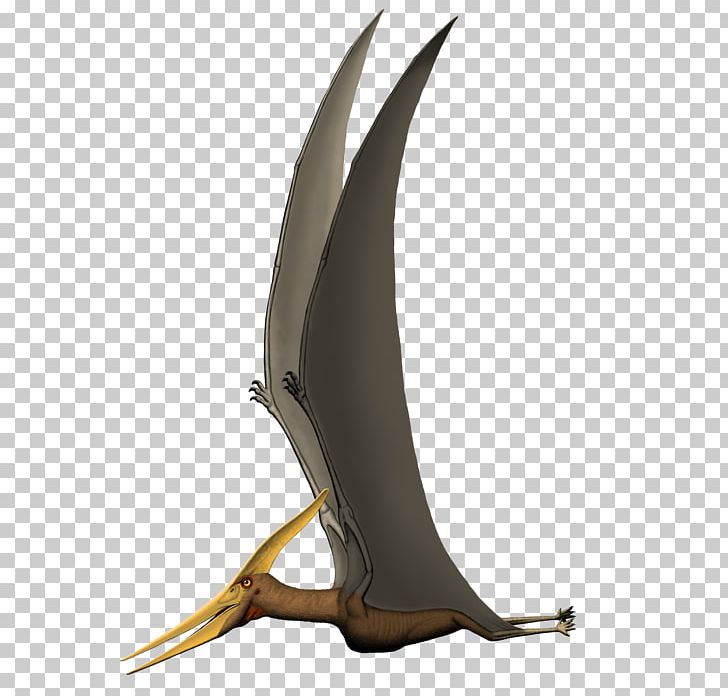 Pterodactyls Protoceratops Dinosaur Pteranodon Ankylosaurus PNG, Clipart, Animal, Ankylosaurus, App, Dinosaur, Fantasy Free PNG Download