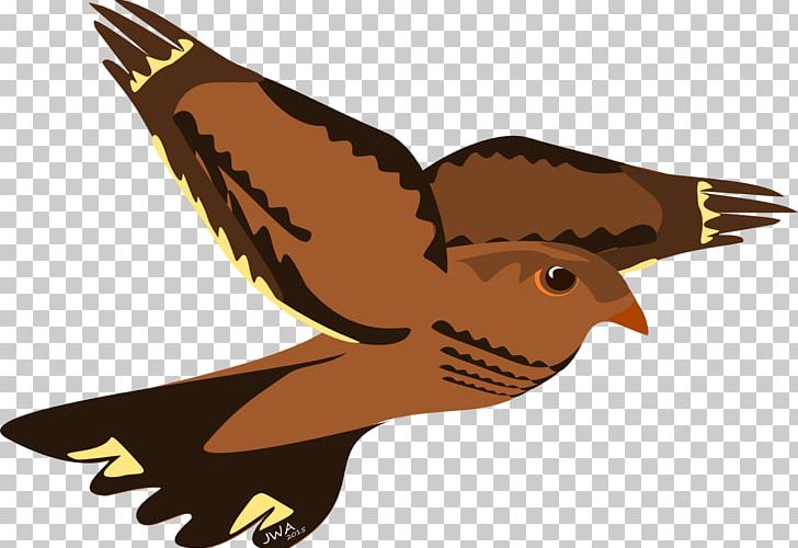 Hawk Bird Eagle Reptile Falcon PNG, Clipart, 2017, Animals, August, Beak, Bird Free PNG Download