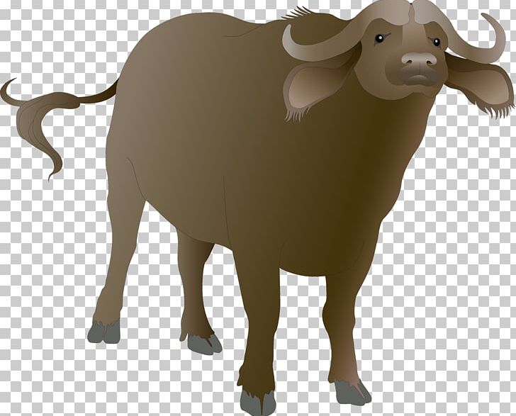 Animal Bovini PNG, Clipart, African Buffalo, Animal, Animal Figure, Bovini, Bull Free PNG Download