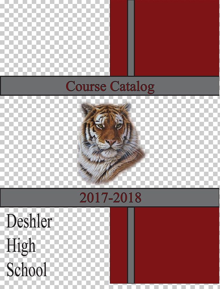 Cat Tiger Oil Painting PNG, Clipart, Angle, Brand, Cartoon, Cat, Catalog Cover Free PNG Download