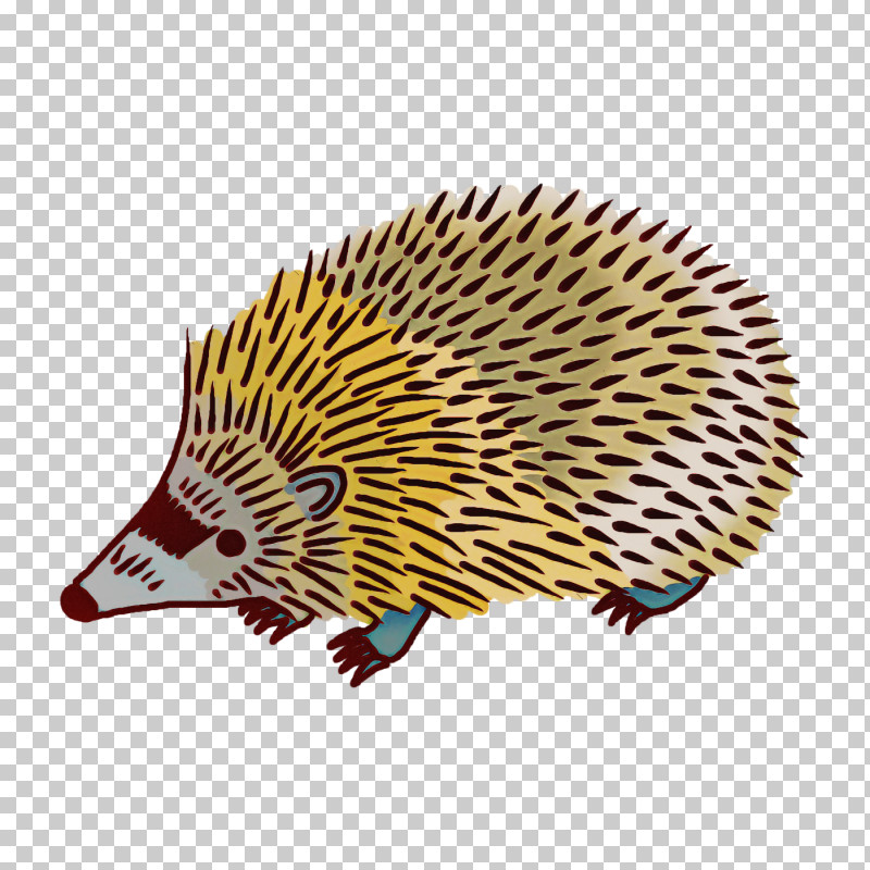 Domesticated Hedgehog Hedgehog Echidnas Cartoon Porcupine PNG, Clipart, Cartoon, Domesticated Hedgehog, Drawing, Echidnas, Erinaceidae Free PNG Download