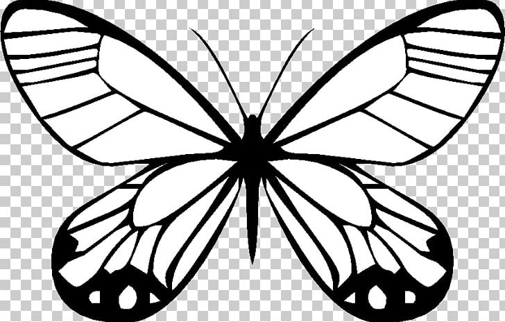 Butterfly Drawing Traveling Butterflies Coloring Book PNG, Clipart, Artwork, Black And White, Brush Footed Butterfly, Colored Pencil, Flower Free PNG Download