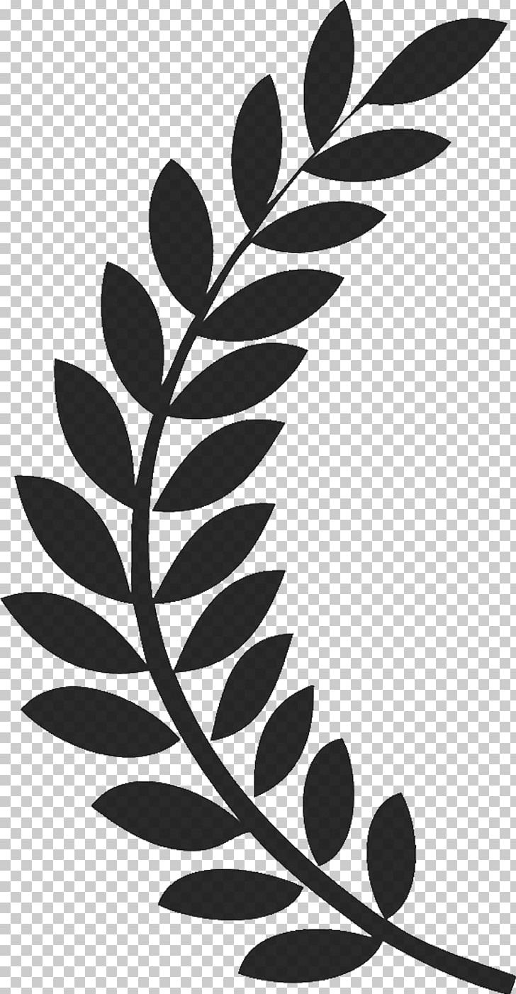 Film Festival Short Film Award PNG, Clipart, Animation, Black And White, Branch, Cinematography, Documentary Film Free PNG Download