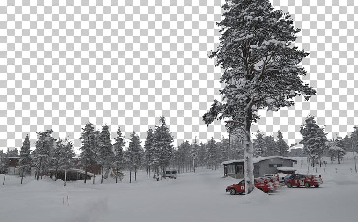 Finland Sweden PNG, Clipart, Blizzard, Buildings, Computer, Conifer, Dow Free PNG Download
