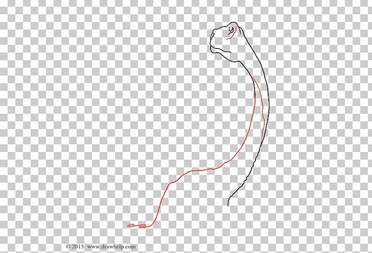 Mammal Line Drawing Point PNG, Clipart, Angle, Area, Drawing, Hand, Line Free PNG Download