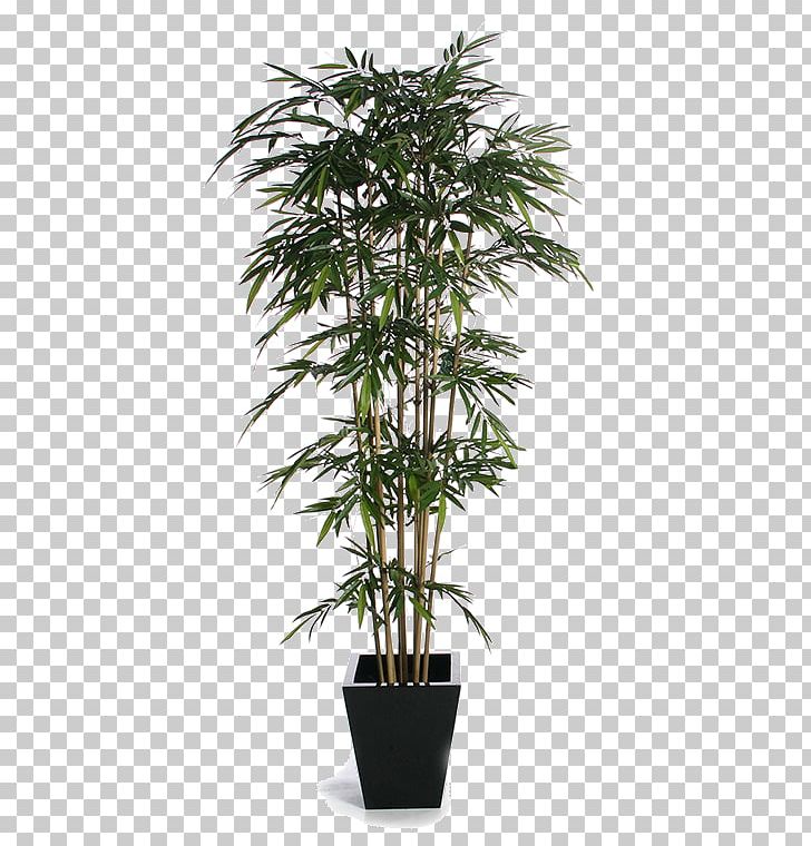 bamboo tree png