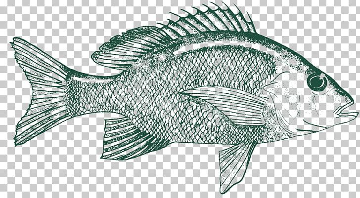 Tulum Habitas Food Fish Restaurant PNG, Clipart, Animals, Artwork, Beach, Dinner, Drawing Free PNG Download