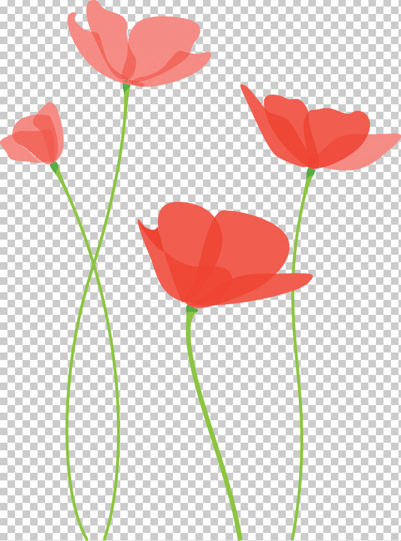 Poppy Flower PNG, Clipart, Anthurium, Coquelicot, Corn Poppy, Flower, Pedicel Free PNG Download