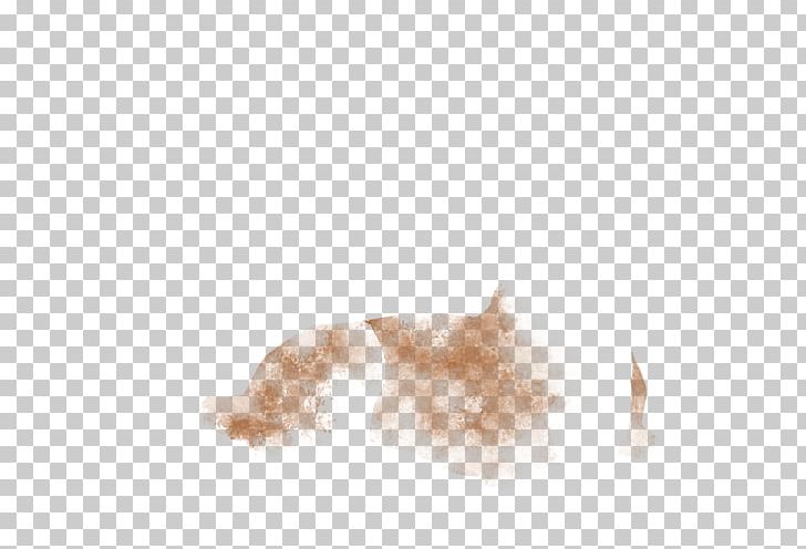 Canidae Dog Fur Snout Mammal PNG, Clipart, Animals, Canidae, Caramel, Cocoa, Dog Free PNG Download