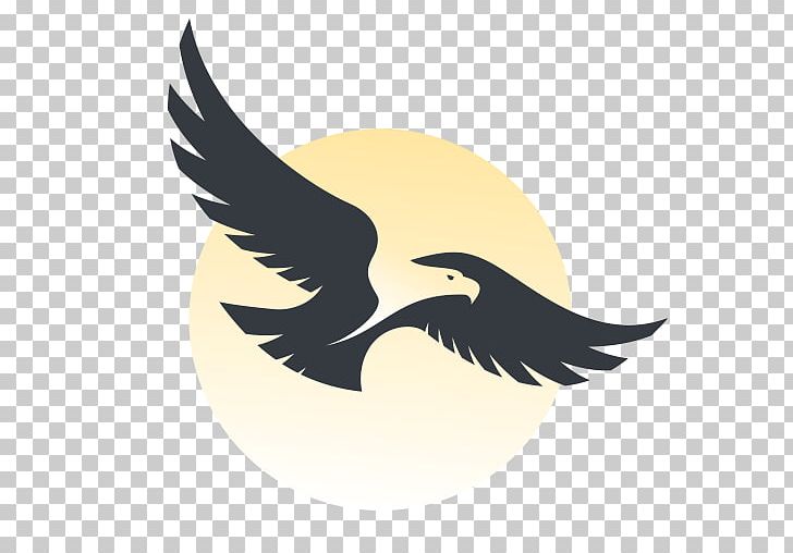 Eagle Silhouette PNG, Clipart, Animals, Beak, Bird, Bird Of Prey, Crop Free PNG Download