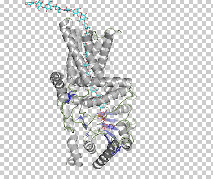 Cellulose Synthase Enzyme Glucan PNG, Clipart, Art, Catalysis, Cellulose, Chemical Reaction, Enzyme Free PNG Download