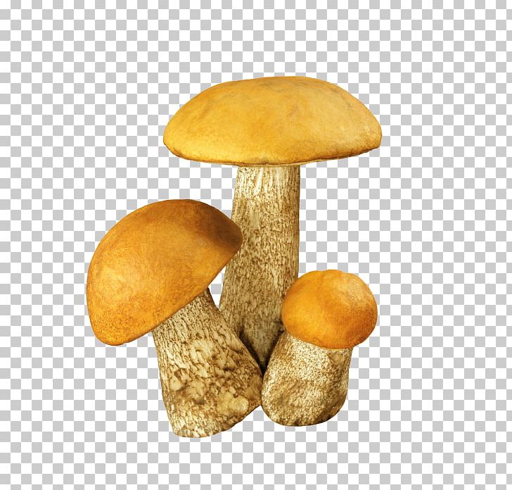 Fungus Aspen Mushroom Edible Mushroom Brown Cap Boletus PNG, Clipart, Aspen Mushroom, Boletus Edulis, Brown Cap Boletus, Eating, Edible Mushroom Free PNG Download