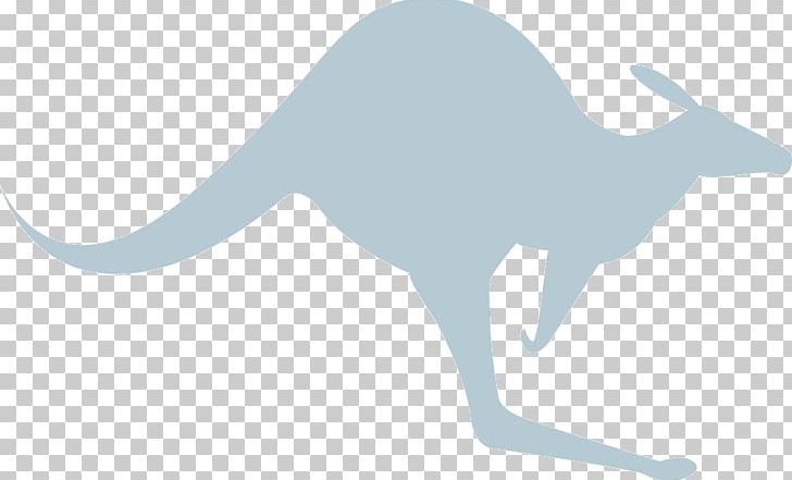 Kangaroo PNG, Clipart, Animals, Black And White, Dog Like Mammal, Download, Drawing Free PNG Download