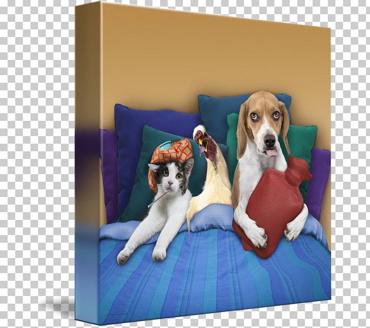 Beagle Dog Breed Puppy Cat Pet Sitting PNG, Clipart, Animals, Beagle, Carnivoran, Cat, Cat And Dog Free PNG Download