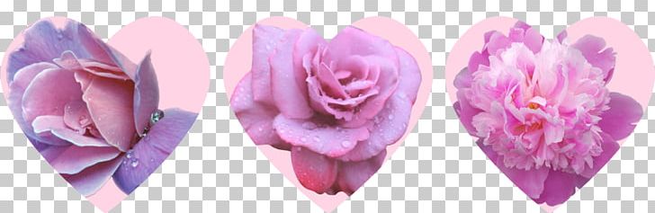 Cut Flowers Floristry Rose Family Petal PNG, Clipart, 20 Something, Art, Artist, Blog, Caption Free PNG Download