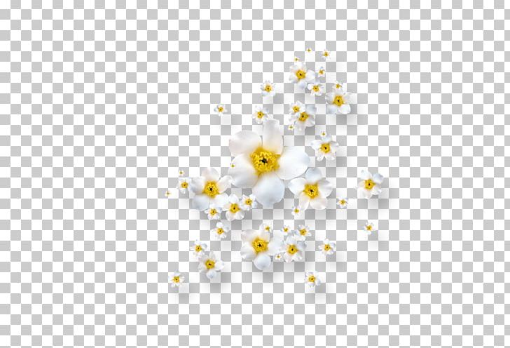 Flower Petal PNG, Clipart, Animation, Cari, Clip Art, Clothing, Cut Flowers Free PNG Download