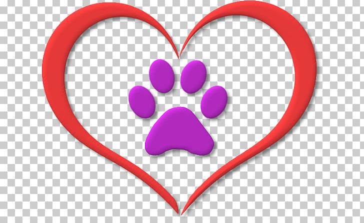 Shih-poo Cat Puppy Paw Pet PNG, Clipart, Animals, Breed, Cat, Cat Fish, Dog Free PNG Download