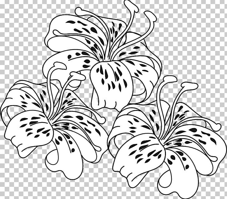 Tiger Lily Easter Lily Coloring Book Flower PNG, Clipart, Arumlily, Black And White, Child, Colored Pencil, Cut Flowers Free PNG Download