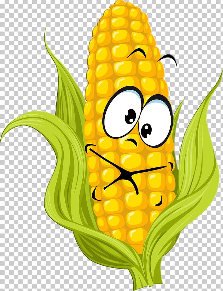 Corn On The Cob Candy Corn Maize Corn Kernel PNG, Clipart, Baby Corn, Candy Corn, Cartoon, Commodity, Corncob Free PNG Download